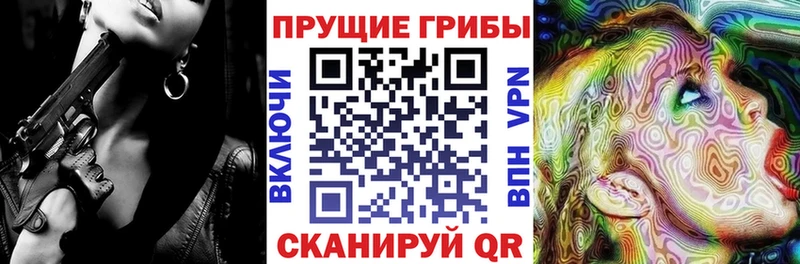 Псилоцибиновые грибы Psilocybine cubensis  блэк спрут онион  это состав  Среднеуральск 
